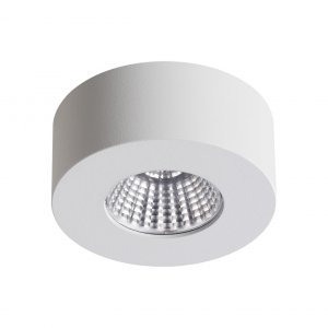 Потолочный светильник Odeon Light BENE (4282/7СL)