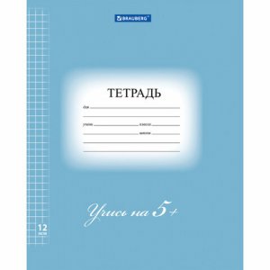 Тетрадь BRAUBERG ЭКО 5-КА (104766)
