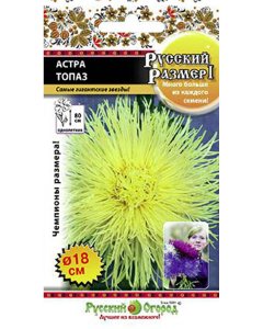 Астра семена Русский Огород Русский размер I Топаз0 .3 г (771533)