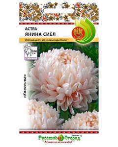 Астра семена Русский Огород Янина Сиел (701670)
