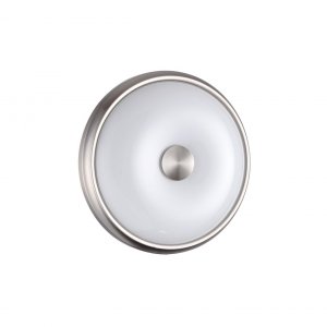 Настенно-потолочный светильник Odeon Light Pelow 4957/2 (4957_2)