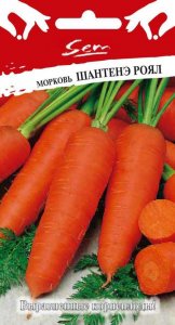 Морковь семена Русский Огород Шантенэ Роял (313030)