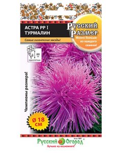 Астра семена Русский Огород Русский размер I Турмалин (771534)