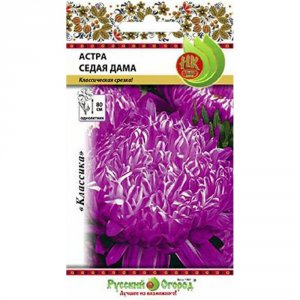 Астра семена Русский Огород Седая дама (700120)