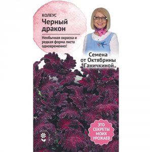Семена Колеуса Октябрина Ганичкина Черный дракон 10 шт (120964)