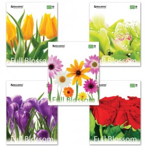 Тетрадь BRAUBERG ЭКО Цветы 2 (401808)