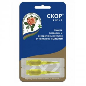 Препарат для защиты роз от болезней Зеленая аптека садовода СКОР (4601976000047)