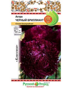 Астра семена Русский Огород Черный бриллиант (701923)