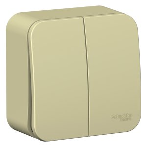 Двухклавишный выключатель Schneider Electric BLNVA105017