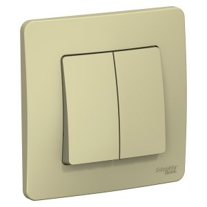 Двухклавишный выключатель Schneider Electric BLNVS010507