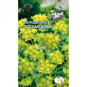 Семена Володушки СеДеК Лесная Дива 0,25 г (00000014123)