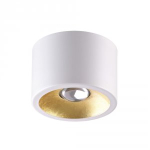Потолочный накладной светильник Odeon Light GLASGOW (3877/1CL)