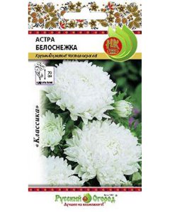 Астра семена Русский Огород Белоснежка (701260)