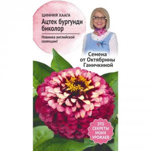 Семена Циннии Октябрина Ганичкина хаага Ацтек бургунди биколор (119676)