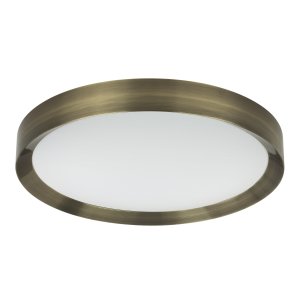 Настенно-потолочный светильник Odeon Light LUNOR (4948_60CL)
