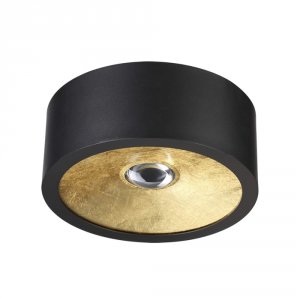Потолочный светильник Odeon Light GLASGOW (3875/1CL)
