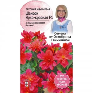 Семена Бегонии клубневой Октябрина Ганичкина Шансон Ярко-красная F1 (119645)