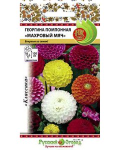 Георгина семена Русский Огород Махровый мяч помпонная (702666)