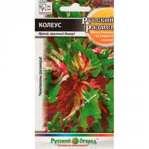 Колеус семена Русский Огород Русский размер (772769)