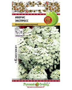 Иберис семена Русский Огород Экспресс (7026540)