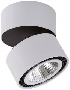 Потолочный светодиодный светильник Lightstar 213859