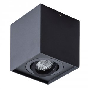 Потолочный светильник Arte Lamp FACTOR (A5544PL-1BK)