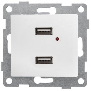 Двойная розетка usb Gusi Electric С10usb2-001 (С10USB2-001)