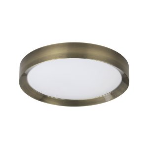 Настенно-потолочный светильник Odeon Light LUNOR (4948_45CL)