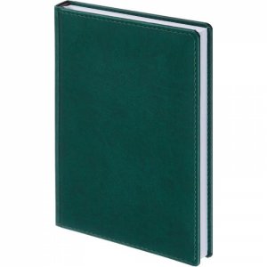 Недатированный ежедневник Attache 209630