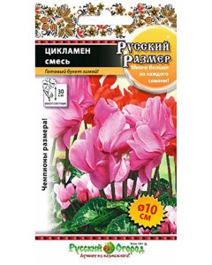 Цикламен семена Русский Огород Русский размер (773553)