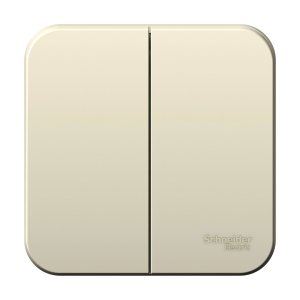 Двухклавишный выключатель Schneider Electric Blanca BLNVA105012