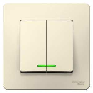 Двухклавишный выключатель Schneider Electric BLNVS006512