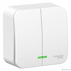 Двухклавишный выключатель Schneider Electric SCHNEIDER ELECTRIC BLNVA105101 Blanca