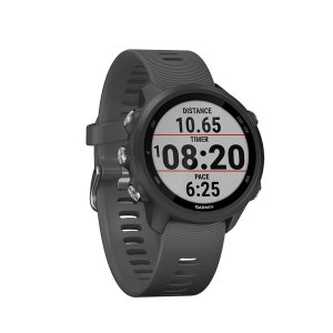 Спортивные часы Garmin Forerunner 245 GPS EU Black/Slate (010-02120-10)
