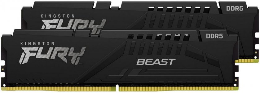 Модуль памяти Kingston KF548C38BBK2-32