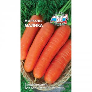 Морковь семена СеДеК Малика (00000013779)