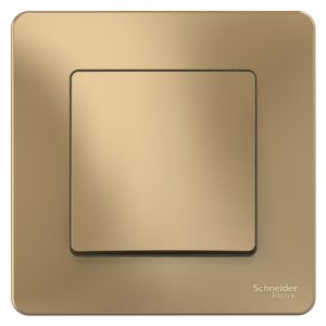 Одноклавишный переключатель Schneider Electric BLNVS010604