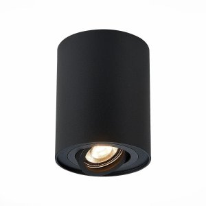 Потолочный светильник ST Luce TORUS (ST108.417.01)