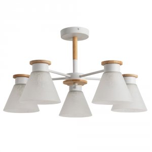 Светильник потолочный Arte Lamp Tyler (A1031PL-5WH)