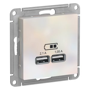 Двухместная розетка usb Schneider Electric AtlasDesign (ATN000433)
