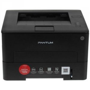Лазерный принтер Pantum P3020D