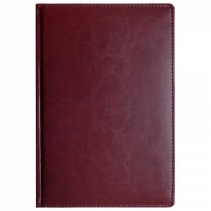 Недатированный ежедневник Attache Attache (1217734)