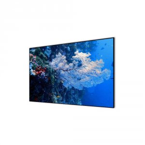 Экраны для проекторов Cactus Alr Expert CS-PSALR-267X151 151x267см