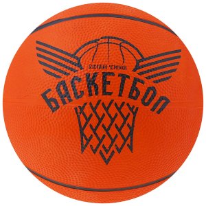 Баскетбольный мяч Onlitop Будущий Чемпион (3597223)