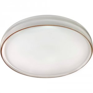 Потолочный светодиодный светильник ЭРА SPB-6-80-RC Solar (Б0054484)