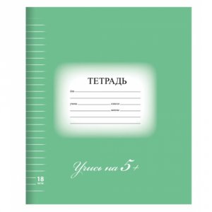 Тетрадь BRAUBERG ЭКО 5-КА (402989)