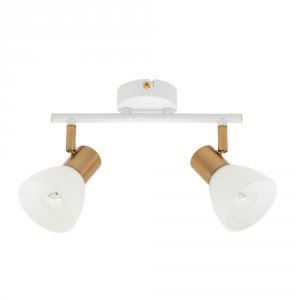 Потолочный светильник Arte Lamp Falena A3117PL-2WH