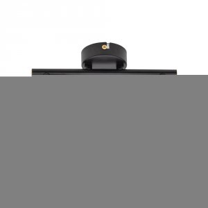 Потолочный светильник Arte Lamp Falena A3117PL-2BK