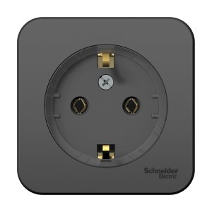 Розетка Schneider Electric SE BLNRA110116