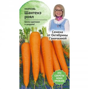 Морковь семена Октябрина Ганичкина Шантенэ Роял (119194)